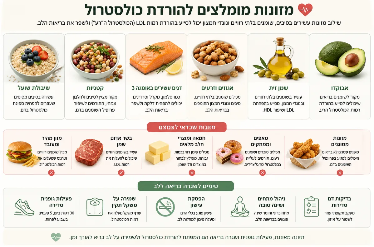 תפריט להורדת כולסטרול: 3 ימים לדוגמה ורשימת קניות - המדריך המלא לשנת 2026