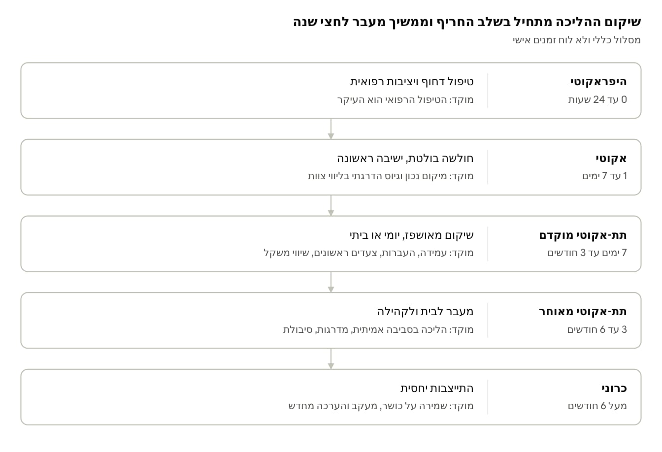 שלבי ההחלמה · 5 שלבים