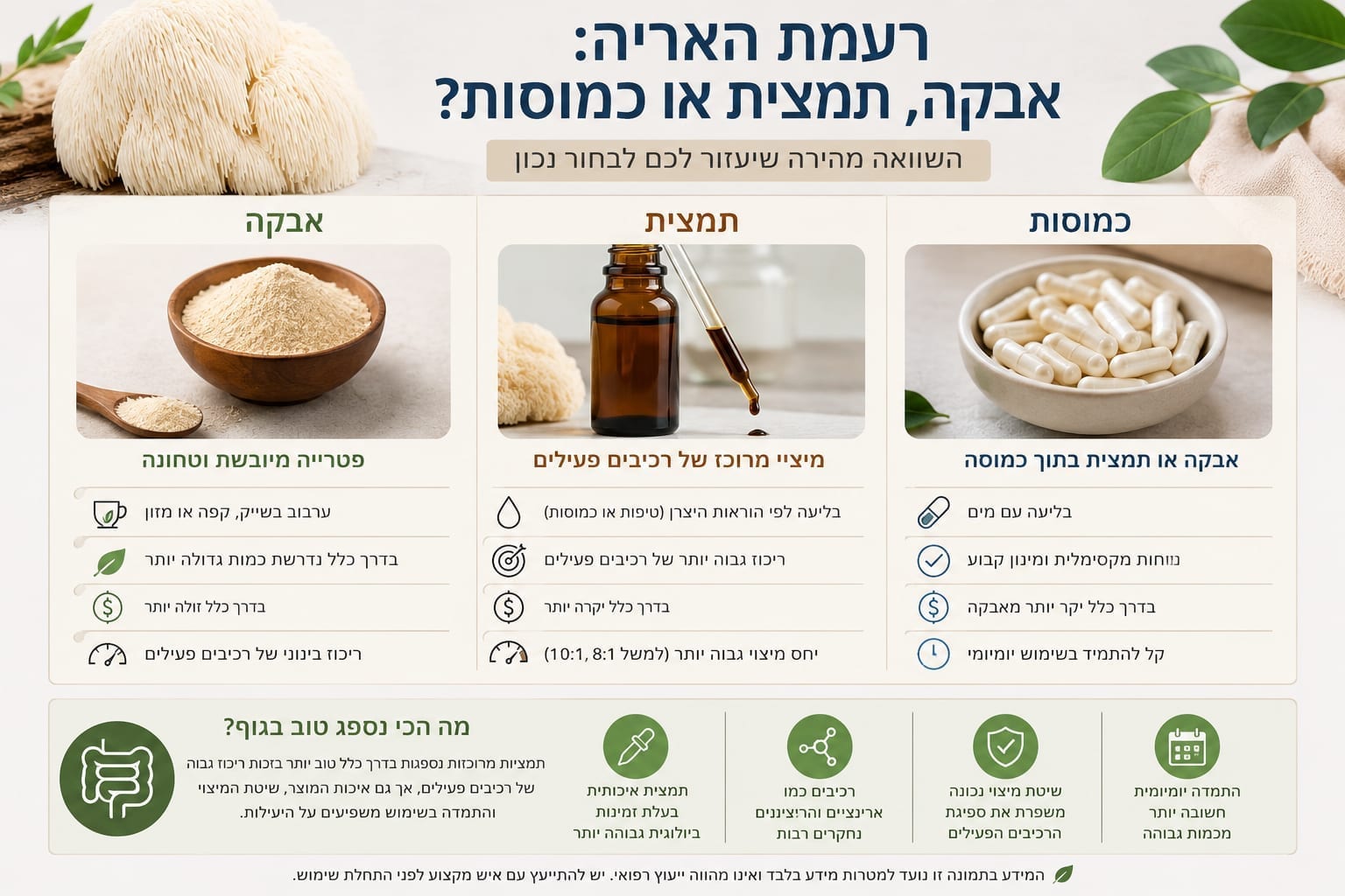 רעמת האריה בכמוסות, אבקה או תמצית: מה ההבדל? המדריך המלא לשנת 2026