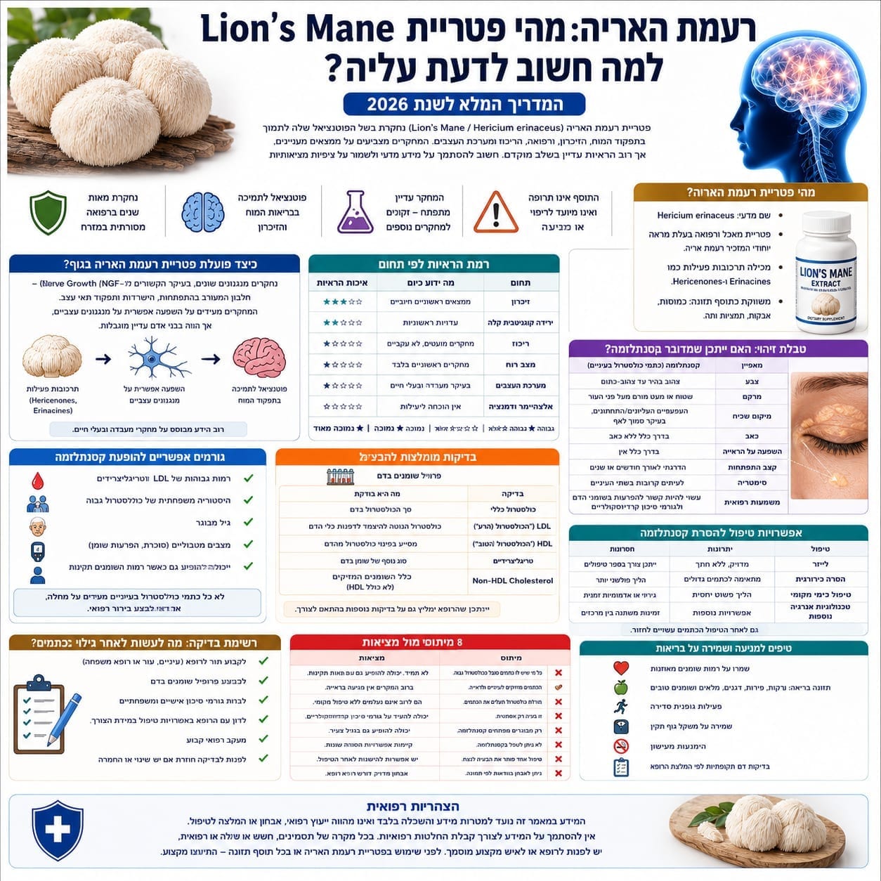 רעמת האריה: עדויות מוגבלות להשפעה על זיכרון וריכוז - מה כן ידוע