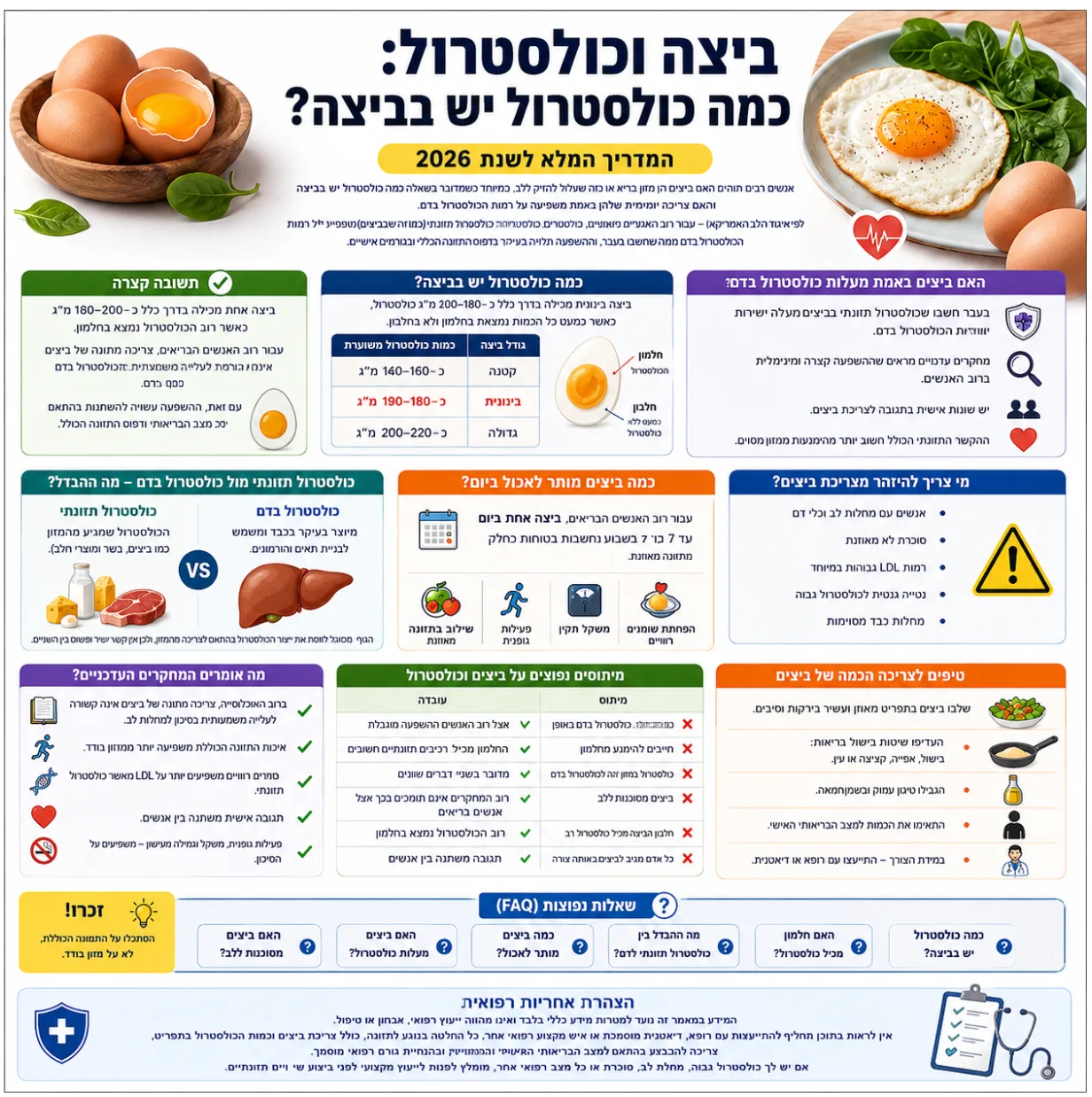 ביצה וכולסטרול: כמה כולסטרול יש בביצה? המדריך המלא לשנת 2026