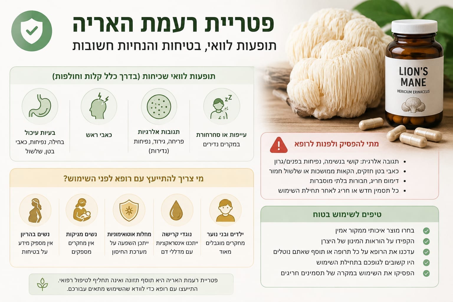 פטריית רעמת האריה: תופעות לוואי, בטיחות ומתי צריך ייעוץ רפואי - המדריך המלא לשנת 2026