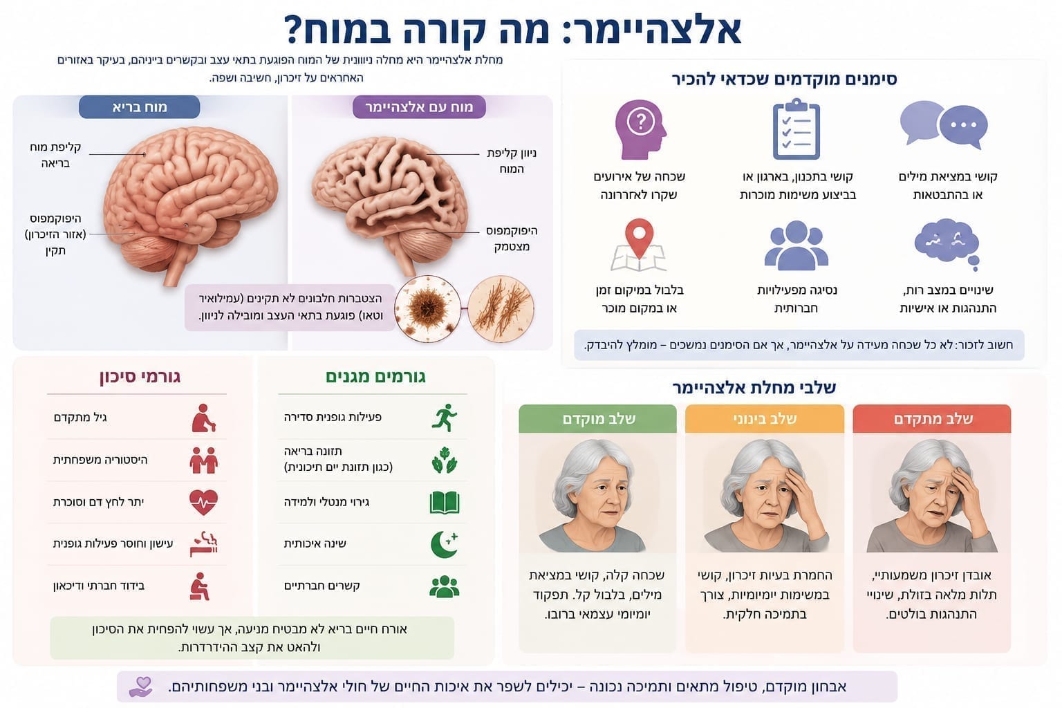 אלצהיימר: המדריך המלא לגורמים, תסמינים וטיפול - המדריך המלא לשנת 2026