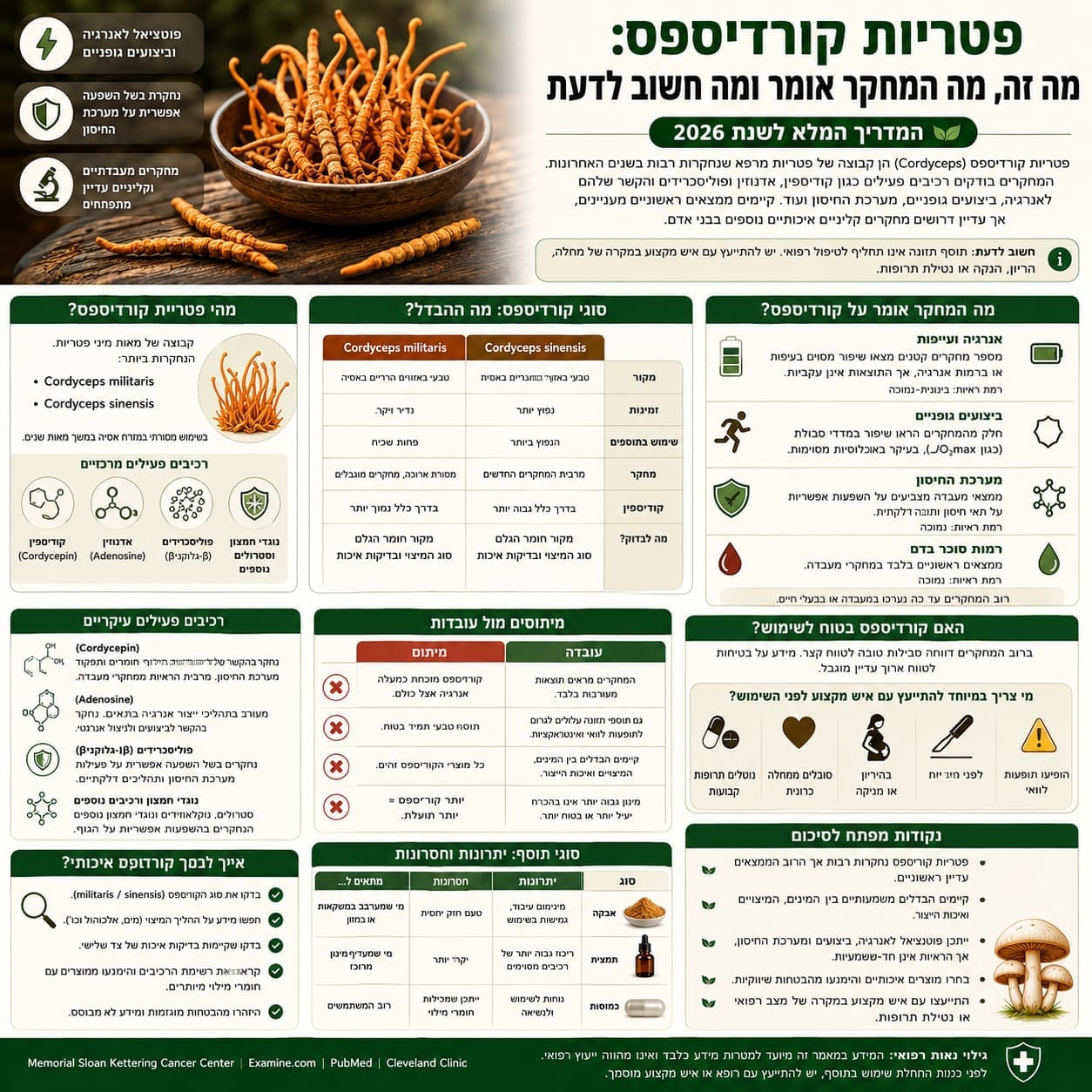 פטריות קורדיספס: מה זה, מה המחקר אומר ומה חשוב לדעת
